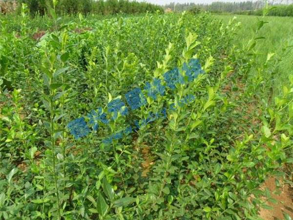 �c���鿴Ԕ����Ϣ���}�����~������ ��x�Δ�(sh��)��2834