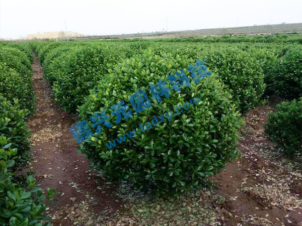 �c���鿴Ԕ����Ϣ���}�����~�S���� ��x�Δ�(sh��)��2631