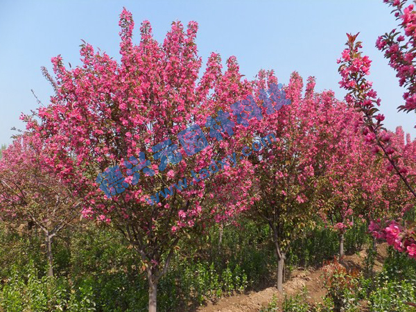 �c���鿴Ԕ����Ϣ���}������ ��x�Δ�(sh��)��2510