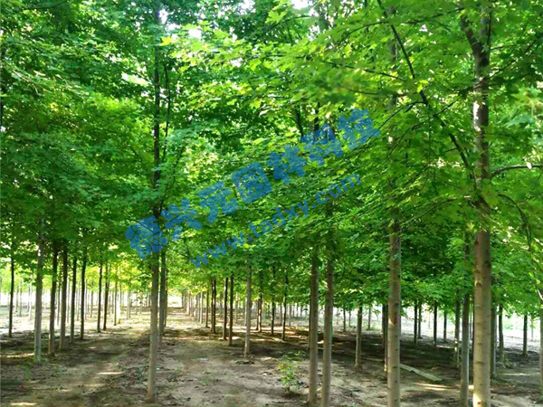 �c���鿴Ԕ����Ϣ���}�������t�� ��x�Δ�(sh��)��2126