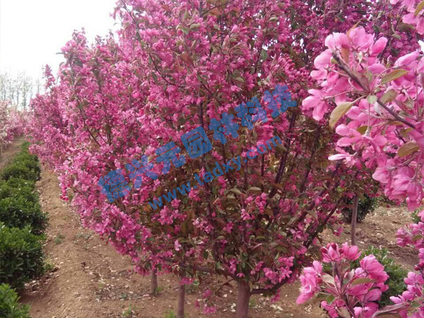 �c���鿴Ԕ����Ϣ���}���k������ ��x�Δ�(sh��)��2311