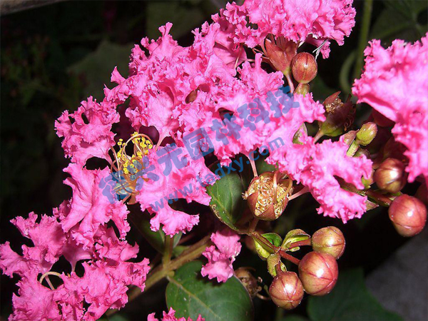 �c���鿴Ԕ����Ϣ���}����ޱ ��x�Δ�(sh��)��1916